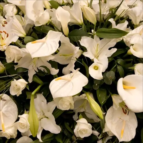 Help with Memorial Services at La Casa de Cristo